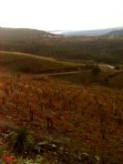 Vista de Carballal, Orense